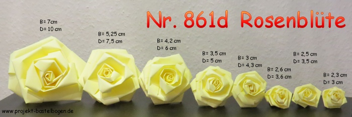 Größen der Rosenblüten